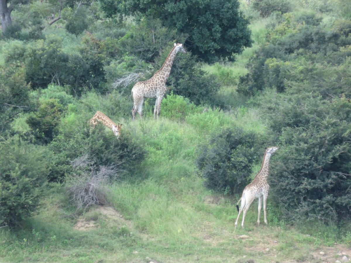 Kruger Private Lodge Marloth Park Exterior photo