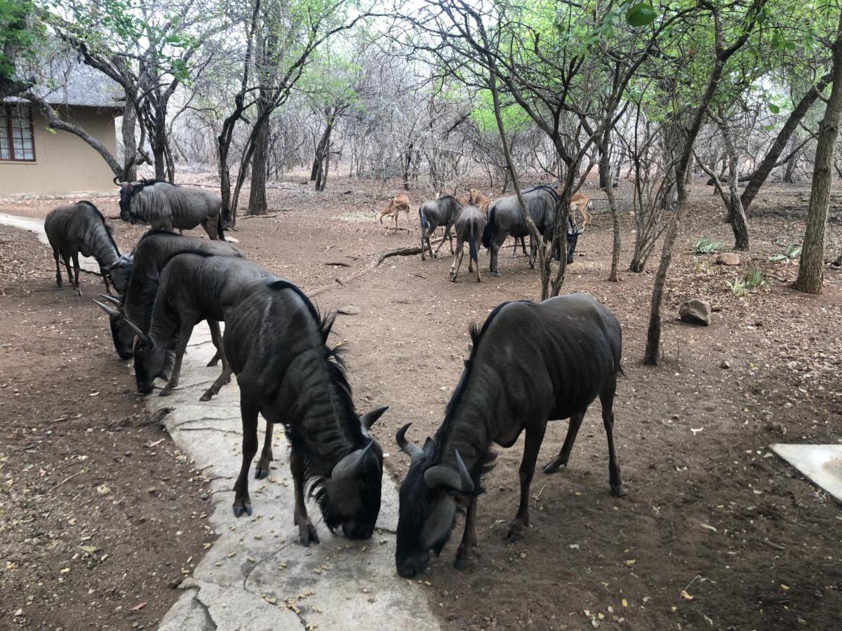 Kruger Private Lodge Marloth Park Exterior photo